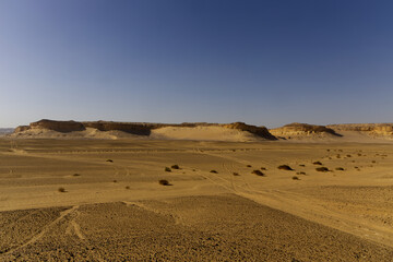 The Whale Desert, also known as Wadi Al Hitan, Egypt