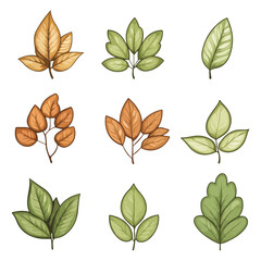 Set of spring leaves, Vector illustration