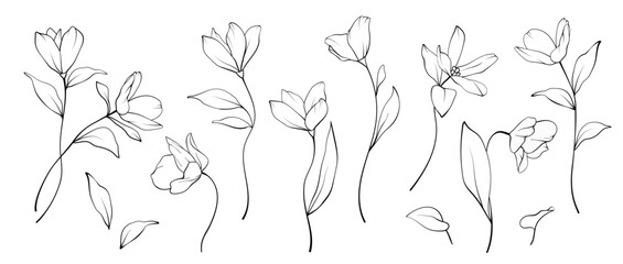 Set of Elegant floral line art bouquet composition. Hand drawn minimalist flowers and leaves in delicate style for prints, wall art, wedding invitations, greeting cards. Vector delicate illustration