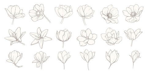 Set of Elegant floral line art bouquet composition. Hand drawn minimalist flowers and leaves in delicate style for prints, wall art, wedding invitations, greeting cards. Vector delicate illustration
