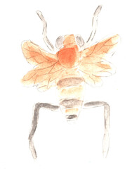 Insect, bee, animal world. Watercolor illustration, hand drawn modern freehand new