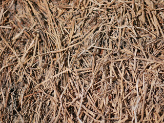 Mown grass for hay making to feed farm animals. Textured abstract background