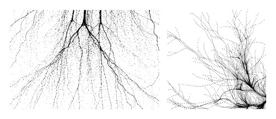 Fototapeta premium Vector Intricate branching network with organic forms.