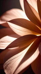 Delicate Pink Flower Petals Illuminated by Soft Light Create a Serene Ambiance in a Natural Setting