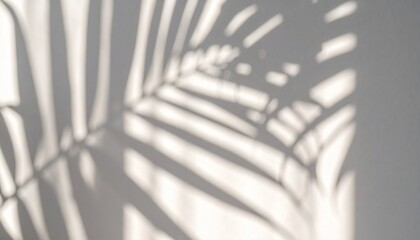 Shadows Create a Calming Atmosphere on a Wall From Palm Leaves in a Sunlit Room in the Afternoon