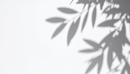 Shadows of Leaves Creating an Artistic Pattern on a Blank White Surface in Natural Light