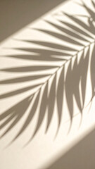 Detailed Shadow of a Palm Leaf Cast on a Textured Wall in Warm Afternoon Light