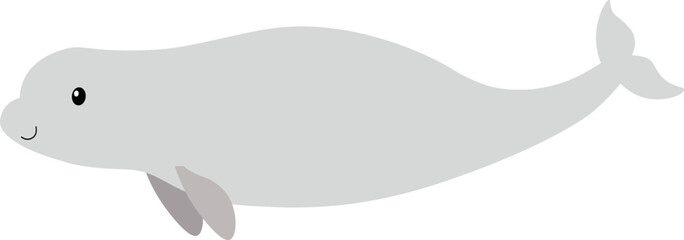 Beluga illustration. White whale cartoon illustration isolated on white background.