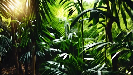 Lush green foliage of jungle plants with sunlight streaming through the canopy creating a natural bokeh, tropical forest atmosphere and environment.