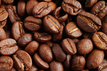 Coffee bean for drink in morning, nature food.