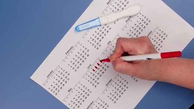 Positive pregnancy test, gynecological ultrasound image and ovulation calendar marked with menstruation and ovulation dates. Fertility tracking, family planning, maternal health, and prenatal care.