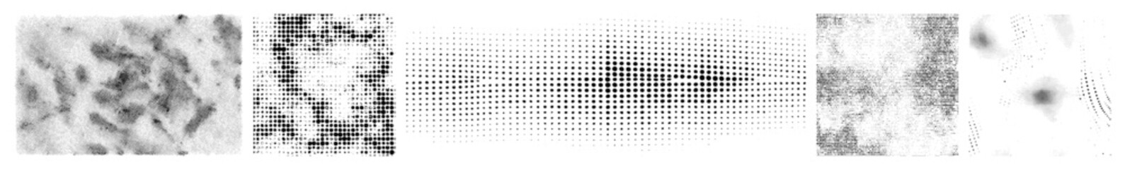 Fototapeta premium Vector Abstract vector lines and shapes create a dynamic composition.