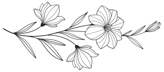 Minimalist Floral Line Art, Hand Drawn Single Flower Illustration