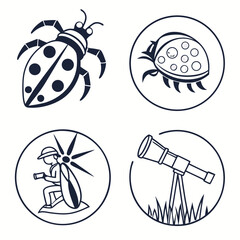 Ladybugs insects nature exploration science education