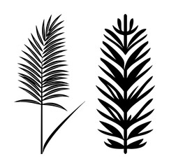 Vector Elegant tropical palm leaves in black and white.