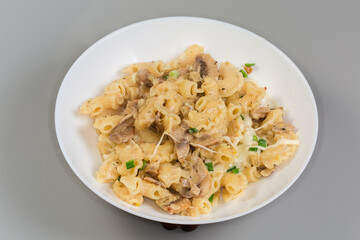 Cooked curved ruffled pasta with mushrooms in white souse