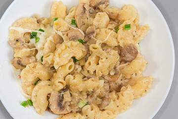 Cooked curved pasta with mushrooms in white souse, top view