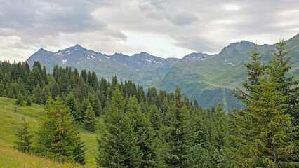 Green mountain landscape with forest under a cloudy sky in La Vanoise nature reserve, Savoie, France 