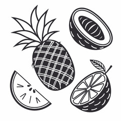 Fresh fruit slices pineapple watermelon lemon coconut isolated