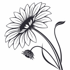 Elegant black and white floral design flower illustration