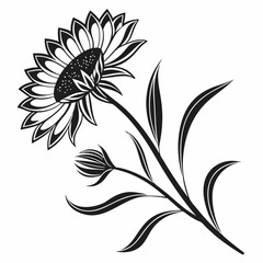 Elegant black and white sunflower floral design