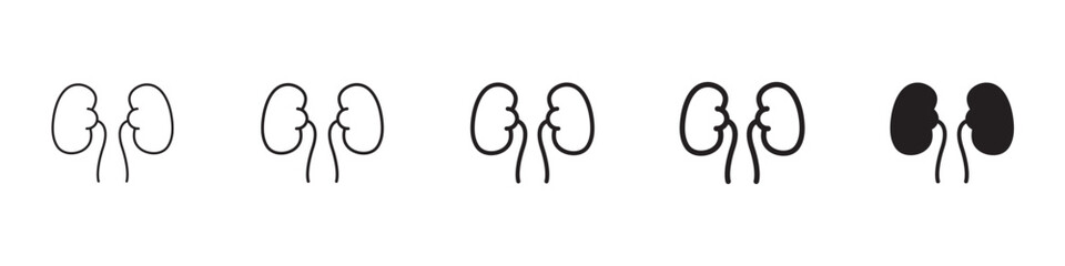 Kidneys icons in black outline, solid and colored style