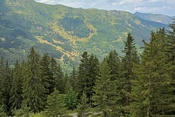 Green mountain landscape with forest under a cloudy sky in La Vanoise nature reserve, Savoie, France 