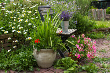 herb spiral in the garden with fresh herbs and flowers