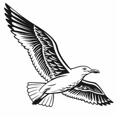 Professional seagull illustration, isolated cutout, transparent background