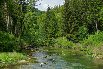 Zwiefalter Aach; Fluss bei der Wimsener Höhle; Schwäbische Alb
