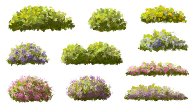 Vector of tree or blooming  side view isolated on white background ,watercolor tree elevation for landscape concept,environment scene,eco design,blossom garden for spring