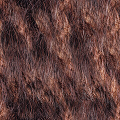 Seamless 4k photo texture of wet brown fur material.