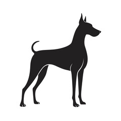 Great Dane In Alert Dog Silhouette