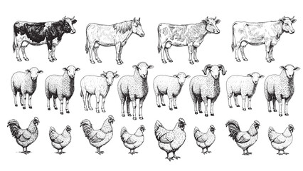 Engraved farm animal group vintage livestock nature rural elegant detailed classic bold illustration