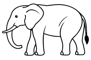 Fototapeta premium elephant isolated on white