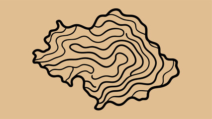 Abstract topographic contour map design displaying smooth curves illustration