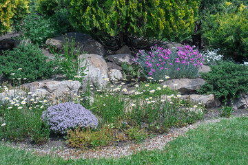 Application natural stone and phlox carnations daisies in landscape design. Stone path in garden with bushes trees flowers. Beautiful manicured green plants in gardening. Example designers in park.