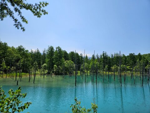 Biei Shirogane Blue Pond