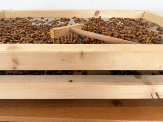 Coffee drying in wooden tray with rake – handcrafted post-harvest processing