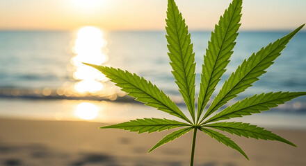 Cannabis Leaf at Sunset on Sandy Beach