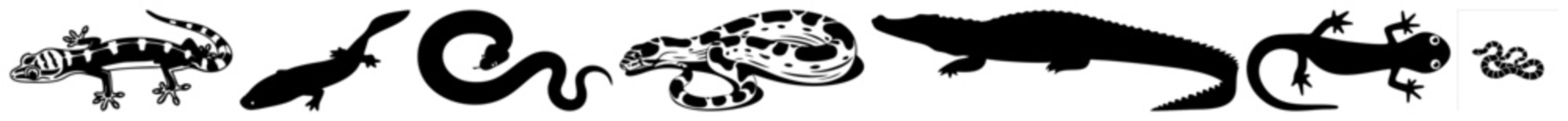 Obraz premium Vector Abstract dinosaur silhouettes depict prehistoric creatures in a dynamic composition.
