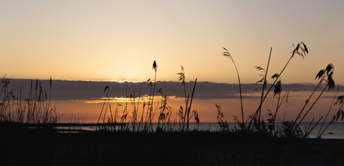 Sunset over Baltic Sea in Engure, Latvia, reed silhouette on coast, golden sky, summer solstice atmosphere, calm evening, warm light, copy space, panoramic format, natural background