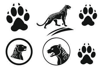 Fototapeta premium animal paw prints