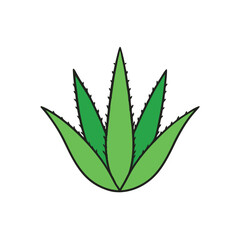 Aloe vera plant Vector art illustration