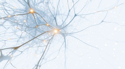 Neuronal Network with Illuminated Synapses