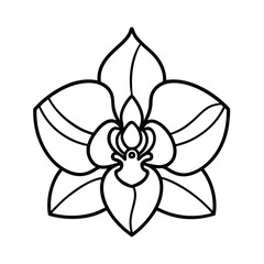 Orchid Outline Vector Icon – Minimal Floral Line Art