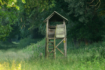 Hunting tower in the forest	