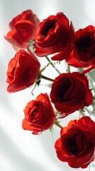 Fototapeta premium Cluster of Vibrant Red Roses Against a Soft White Background