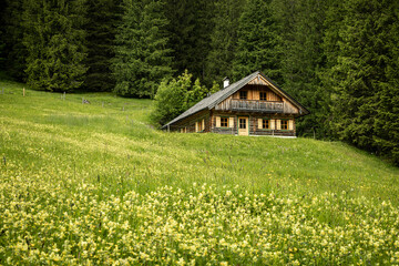 Serene alpine scene with a cabin and wildflower field