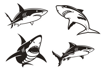 set of shark